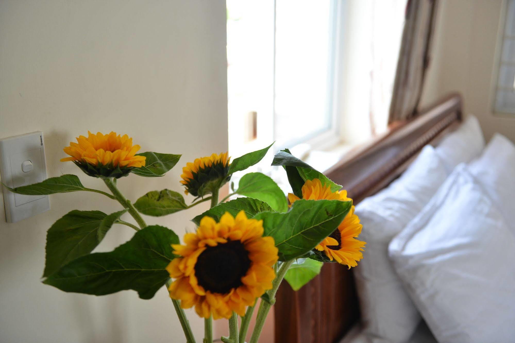 Oc Tien Sa Hotel Da Nang Eksteriør billede