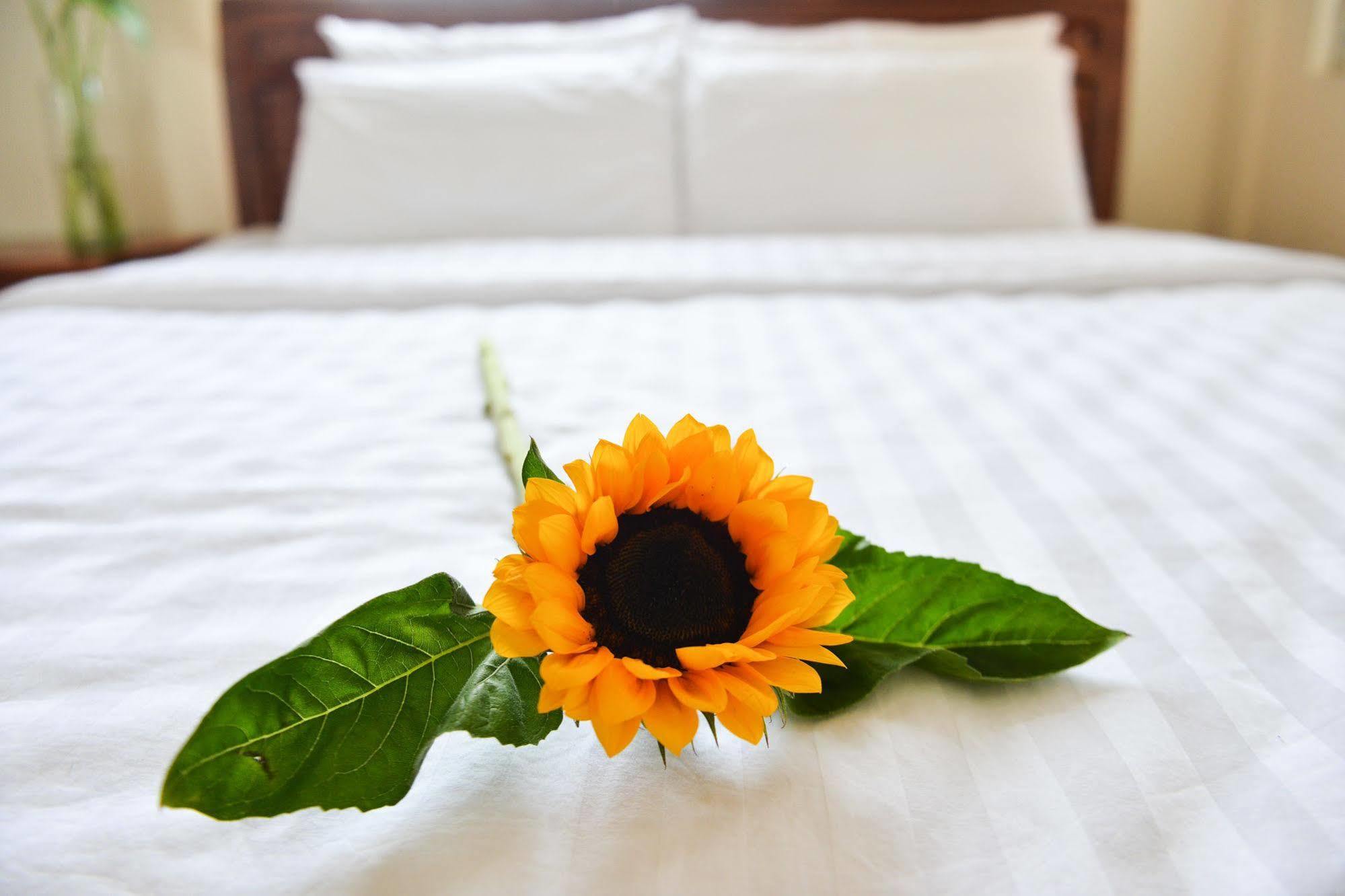 Oc Tien Sa Hotel Da Nang Eksteriør billede